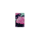2027 Calendar Year Diary/Planner - 12 Month Pocket Week to View - Hard Cover in The Roses (Butterfly) - Collins Billy Blue Range