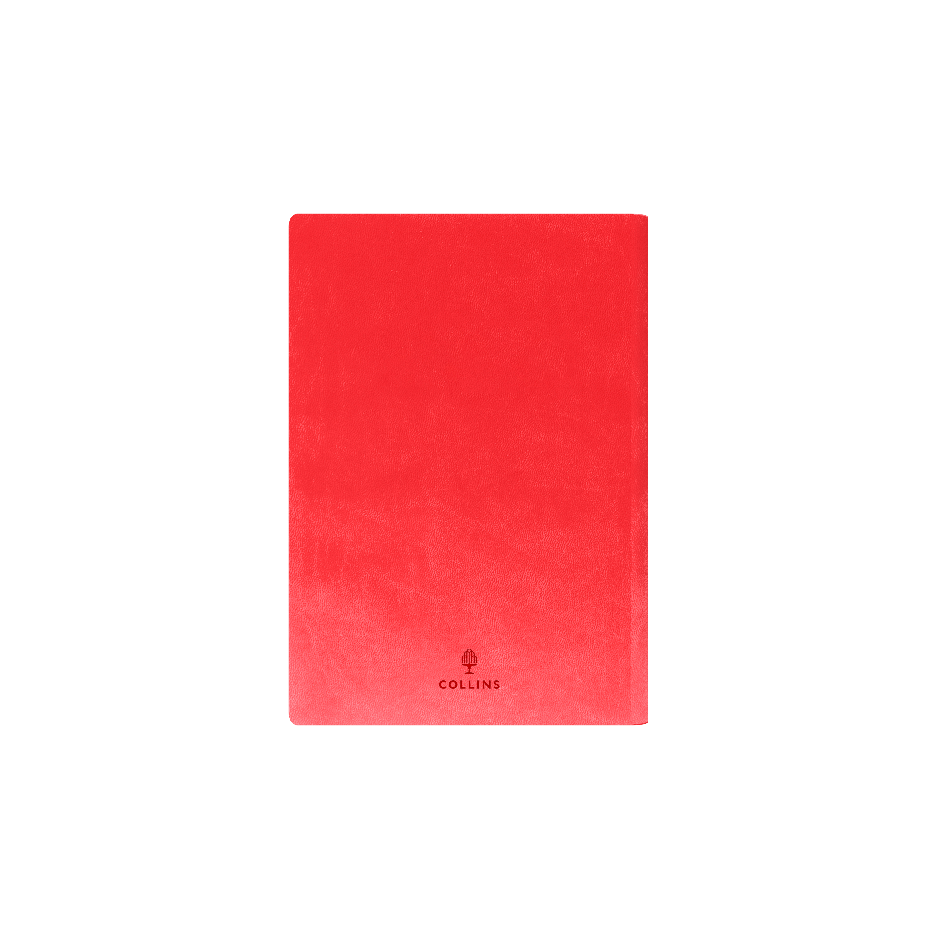Edge Rainbow Calendar Year 2026 Diary/Planner, Day to Page, A5 Soft Cover