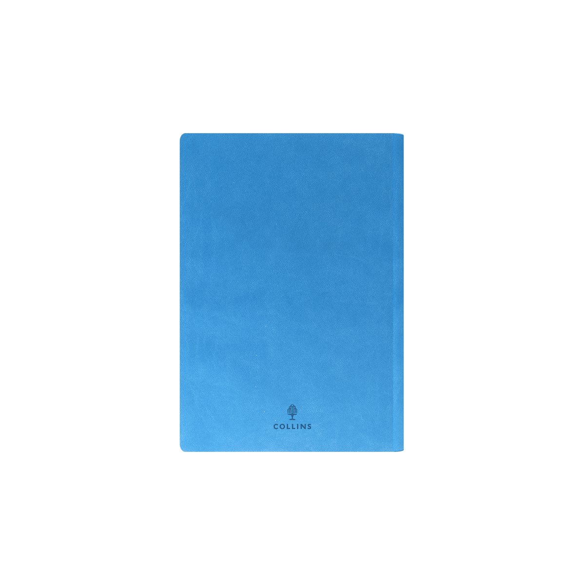 Edge Rainbow Calendar Year 2026 Diary/Planner, Day to Page, A5 Soft Cover