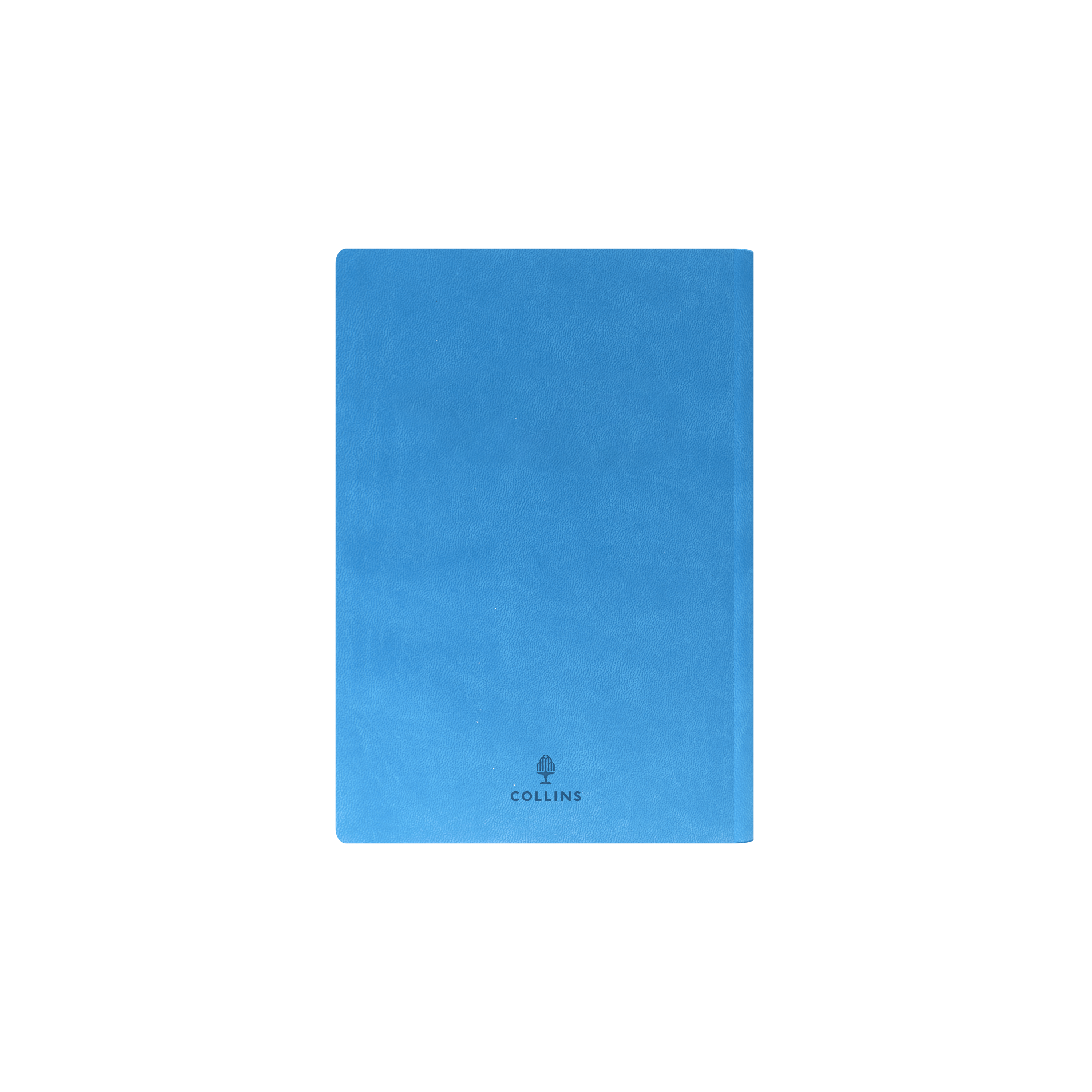 Edge Rainbow Calendar Year 2026 Diary/Planner, Day to Page, A5 Soft Cover