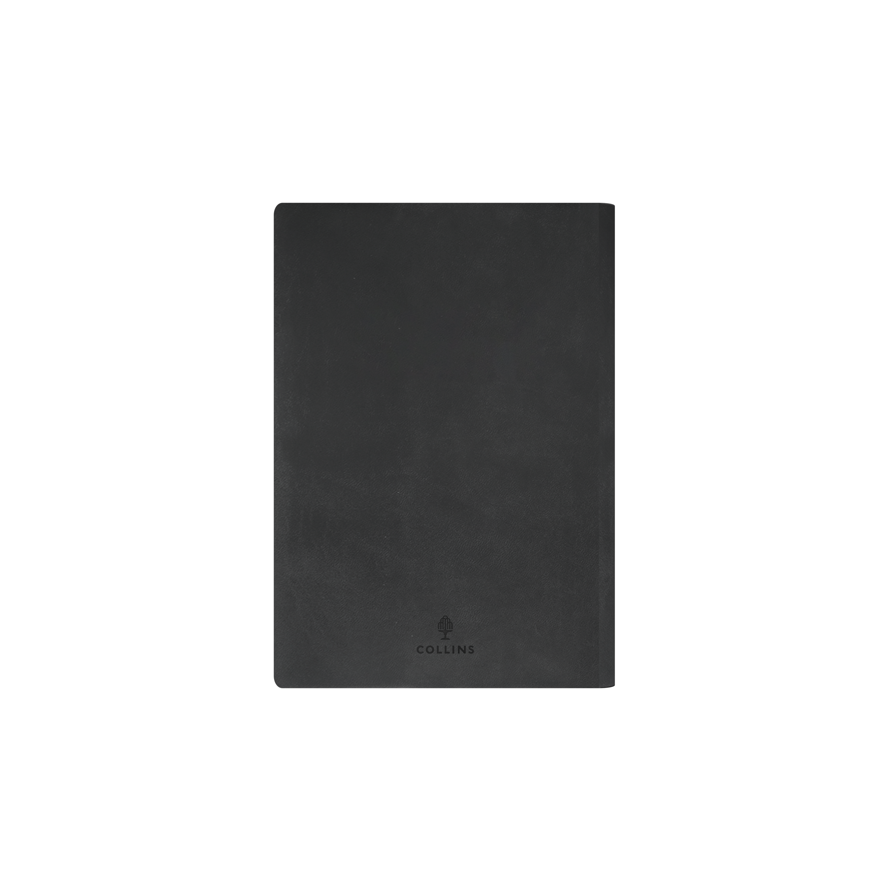 Edge Rainbow Calendar Year 2026 Diary/Planner, Day to Page, A5 Soft Cover