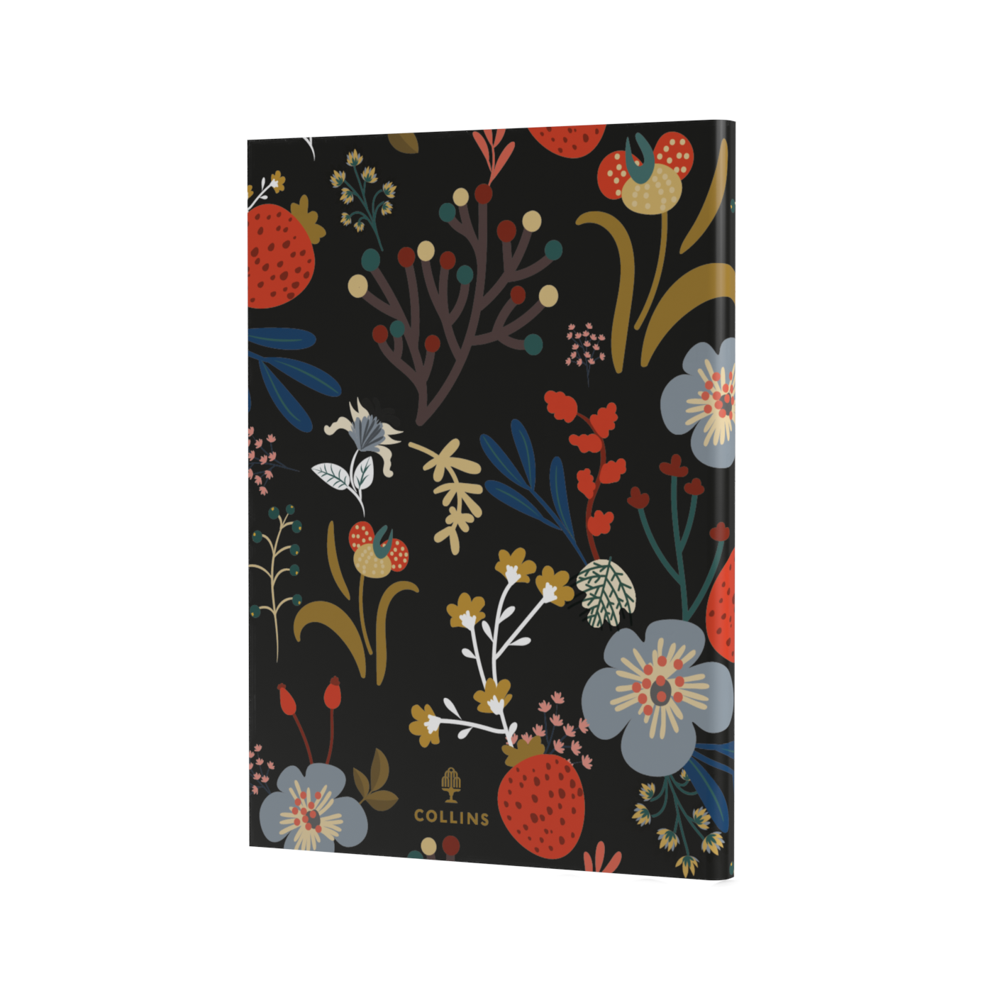 Enchanted 2024 Diary - Week to View, Size A5 Black / A5 (210 x 148mm)