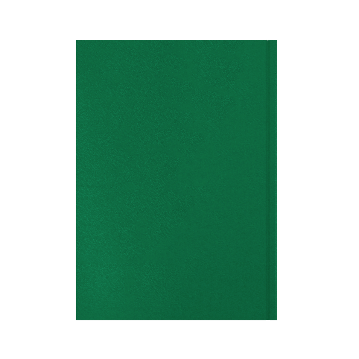 Essential Calendar Year 2026 Diary/Planner, Day to Page, A4 Hard Cover