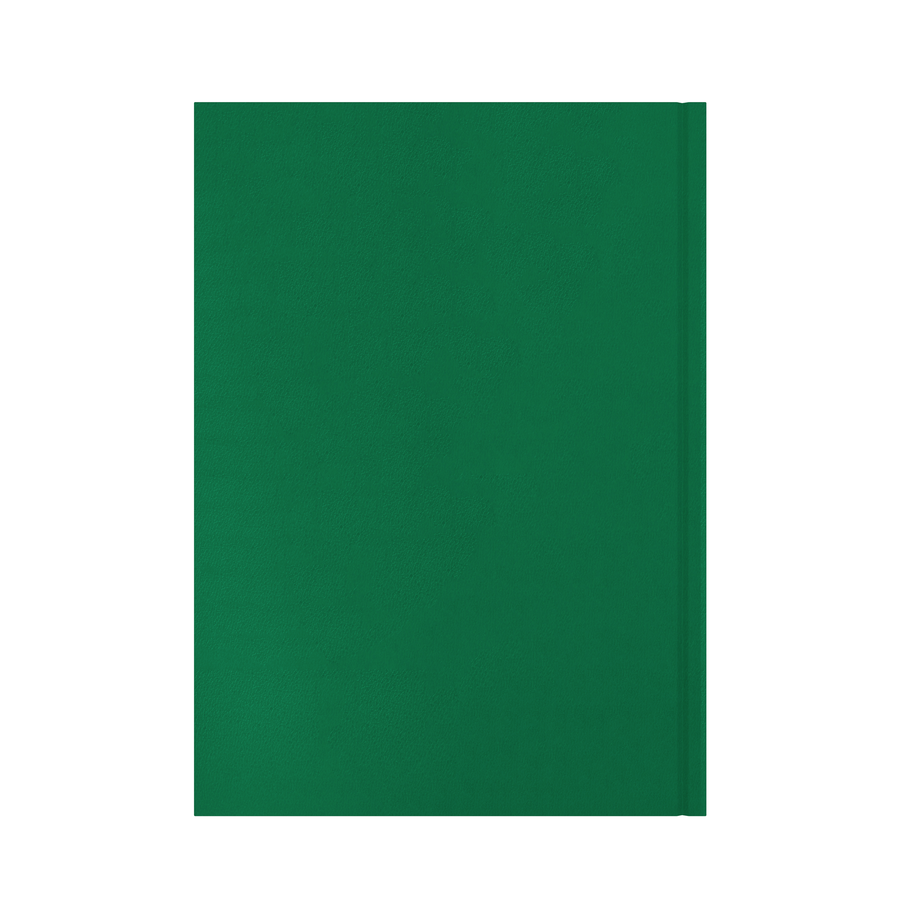 Essential Calendar Year 2026 Diary/Planner, Day to Page, A4 Hard Cover