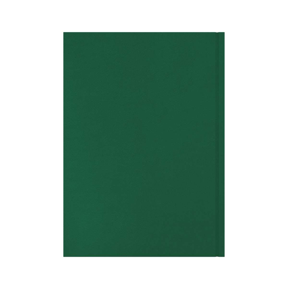 2027 Calendar Year Diary/Planner - 12 Month A4 Day to Page - Hard Cover - Collins Essential Range
