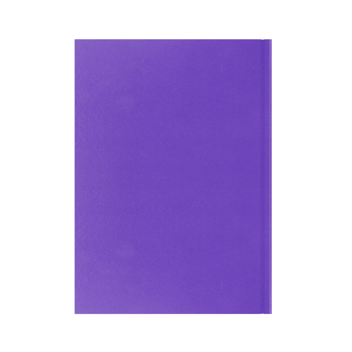 Essential Calendar Year 2026 Diary/Planner, Day to Page, A4 Hard Cover