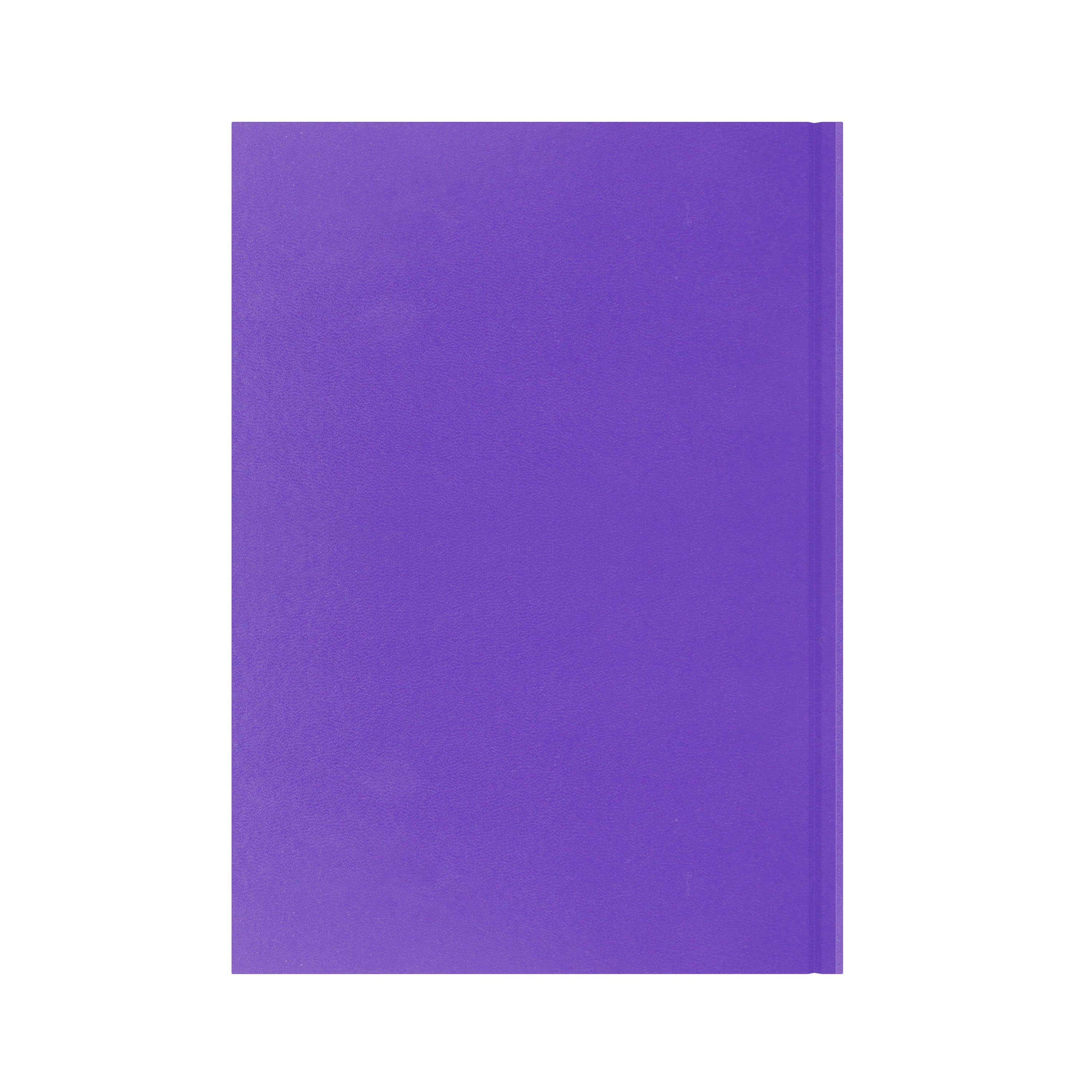 Essential Calendar Year 2026 Diary/Planner, Day to Page, A4 Hard Cover