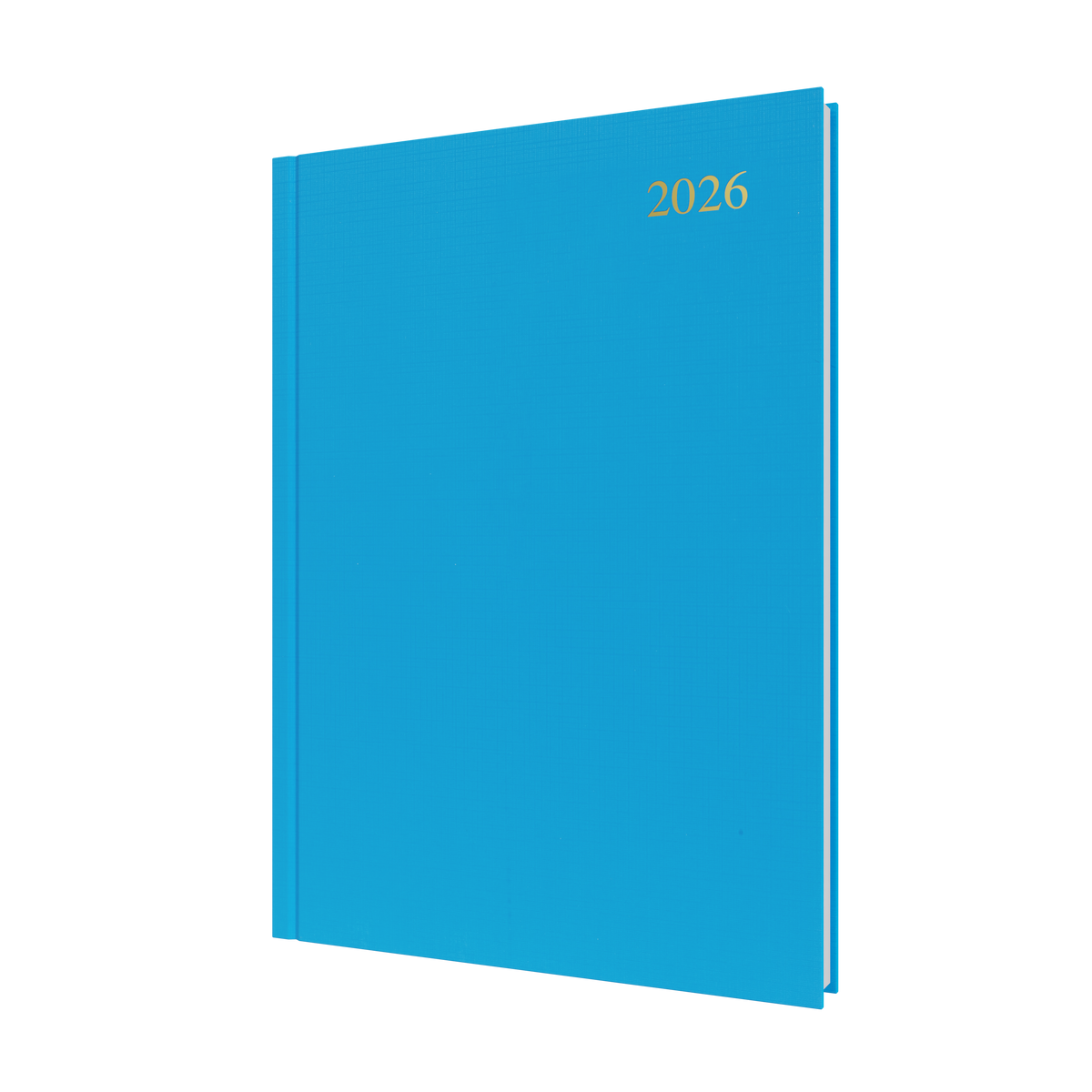 Essential Calendar Year 2026 Diary/Planner, Day to Page, A4 Hard Cover