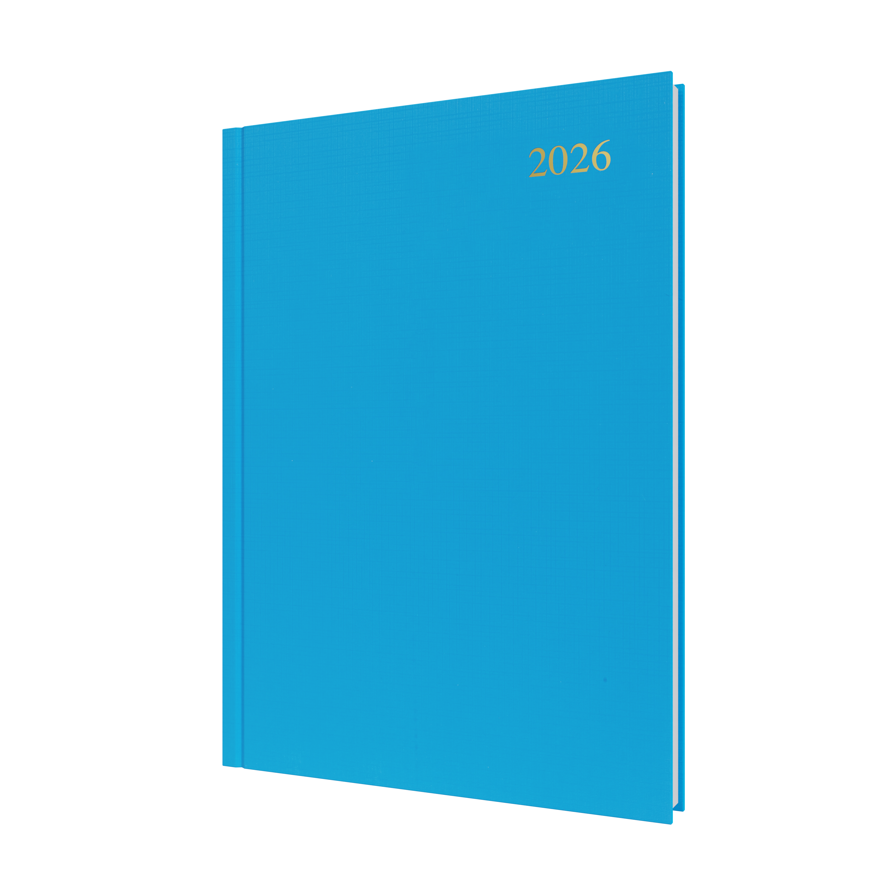 Essential Calendar Year 2026 Diary/Planner, Day to Page, A4 Hard Cover