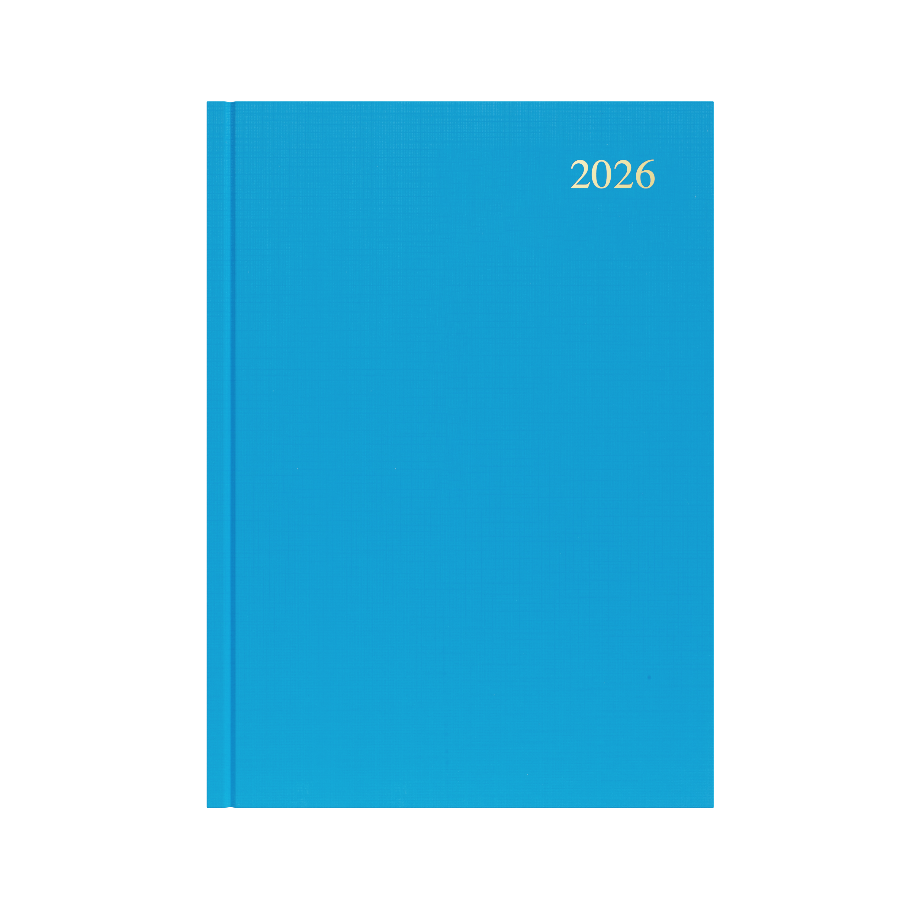 Essential Calendar Year 2026 Diary/Planner, Day to Page, A4 Hard Cover