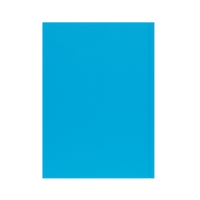 Essential Calendar Year 2026 Diary/Planner, Day to Page, A4 Hard Cover
