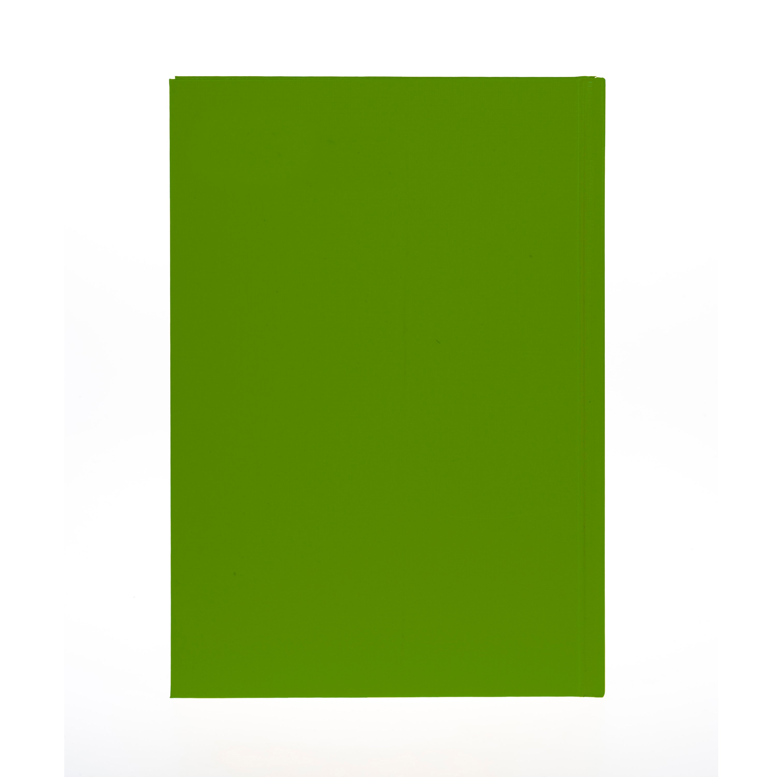 Essential - A4 Day-to-Page Diary - 2025 Calendar Year Planner