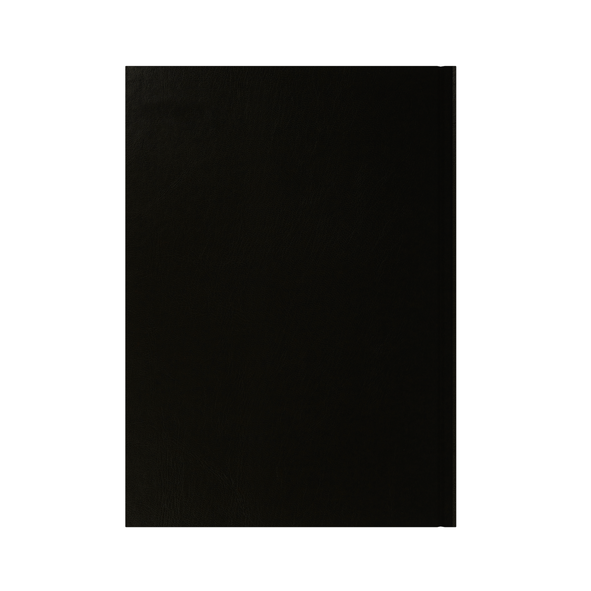 Essential Calendar Year 2026 Diary/Planner, Day to Page, A4 Hard Cover
