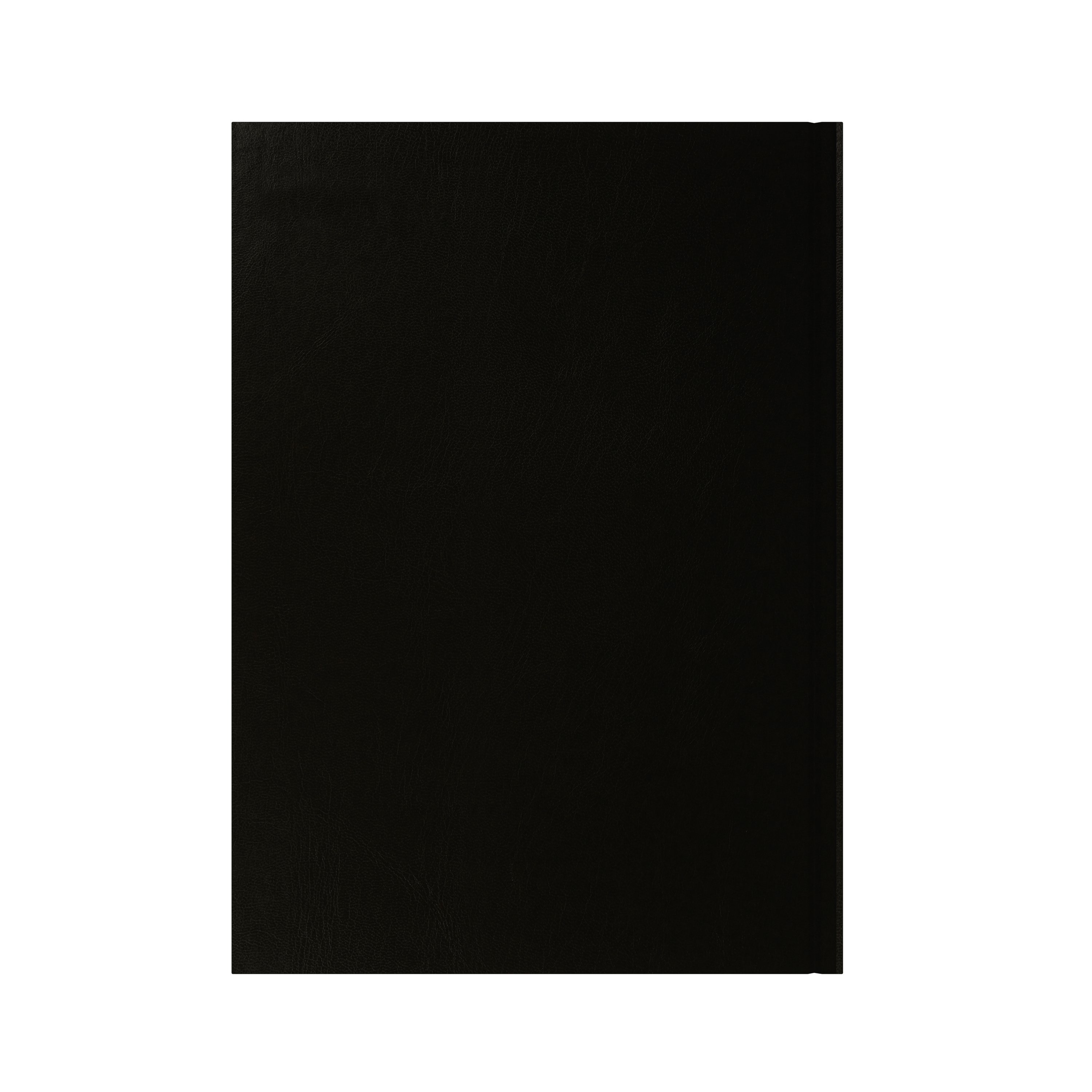 Essential Calendar Year 2026 Diary/Planner, Day to Page, A4 Hard Cover