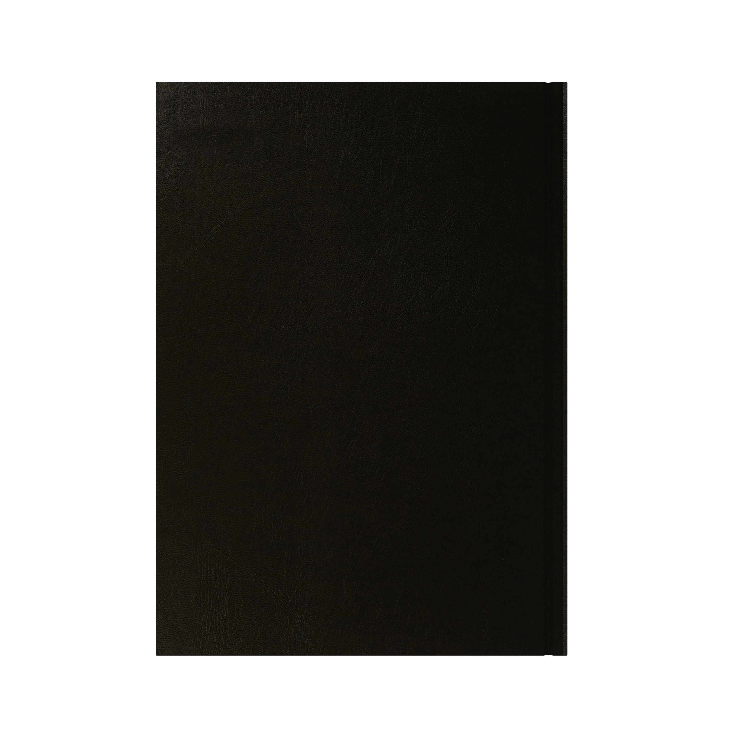 Essential Calendar Year 2026 Diary/Planner, Day to Page with Appointments, A4 Hard Cover
