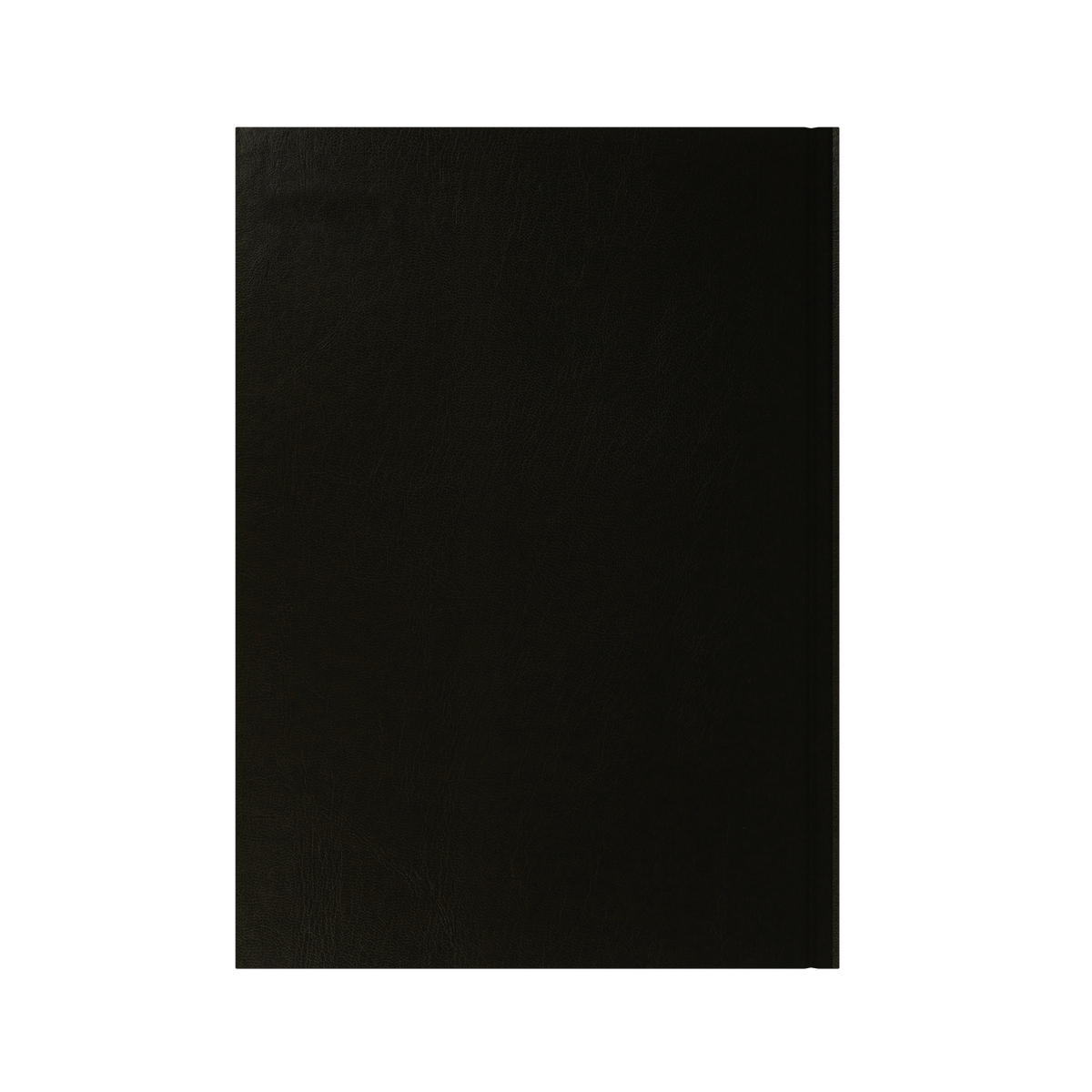 Essential Calendar Year 2026 Diary/Planner, Week to View, A4 Hard Cover