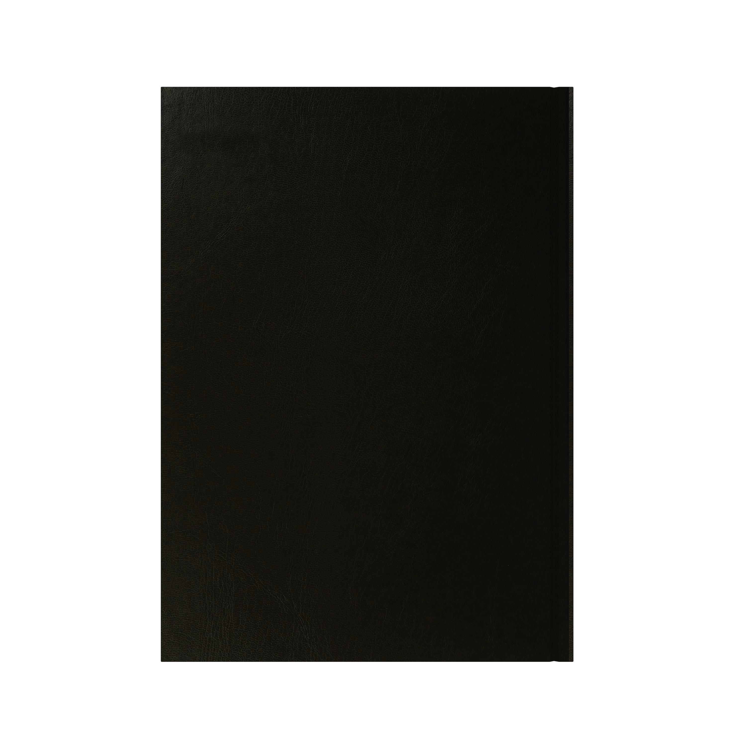 Essential Calendar Year 2026 Diary/Planner, Week to View, A4 Hard Cover