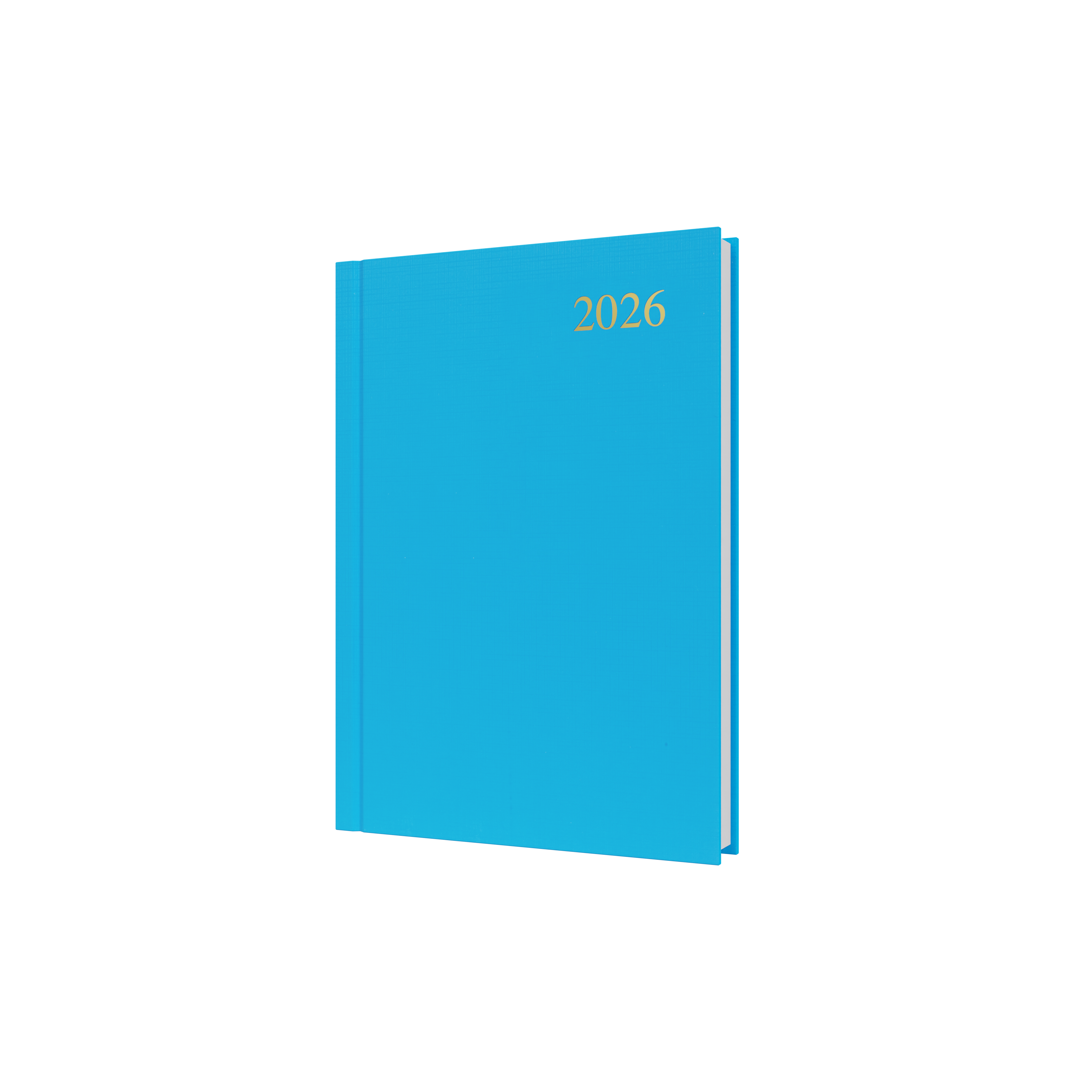 Essential Calendar Year 2026 Diary/Planner, Day to Page, A5 Hard Cover