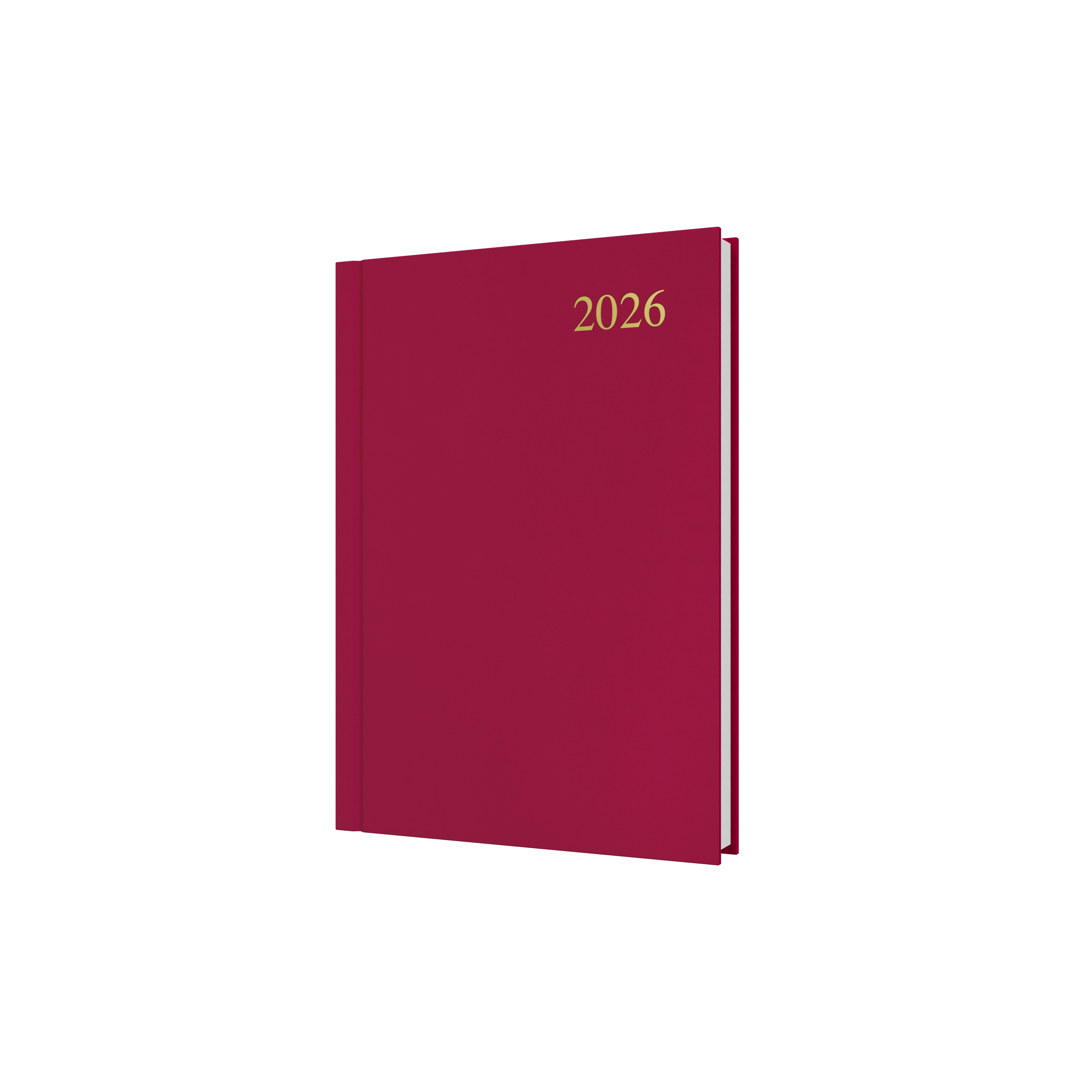 Essential Calendar Year 2026 Diary/Planner, Day to Page, A5 Hard Cover