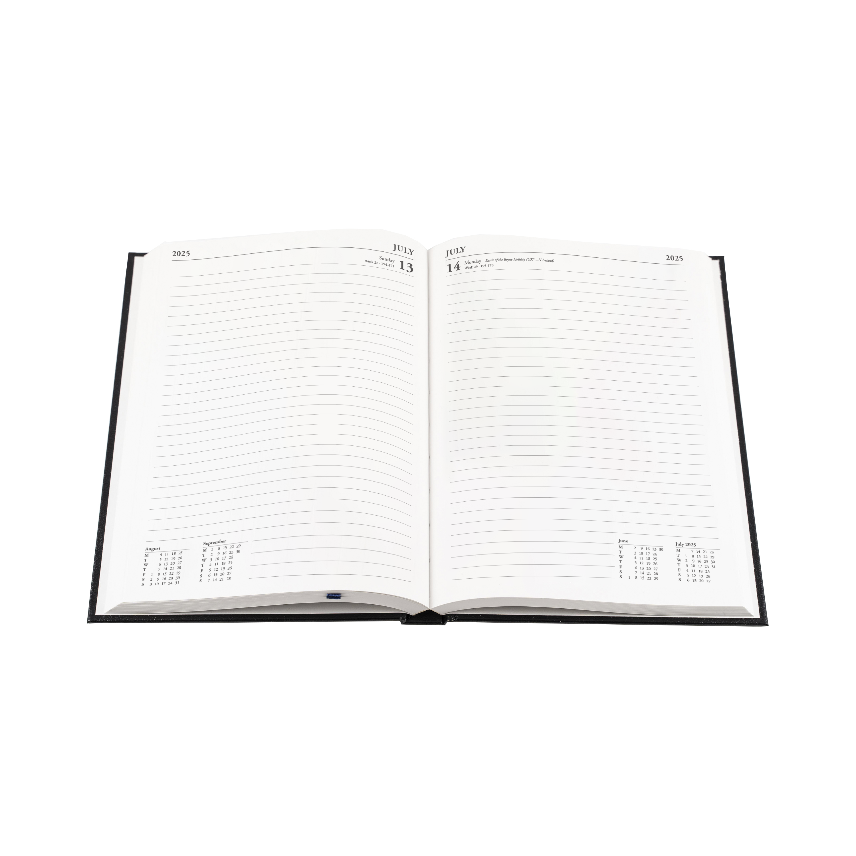 Essential - A5 Day-to-Page Diary - 2025 Calendar Year Planner