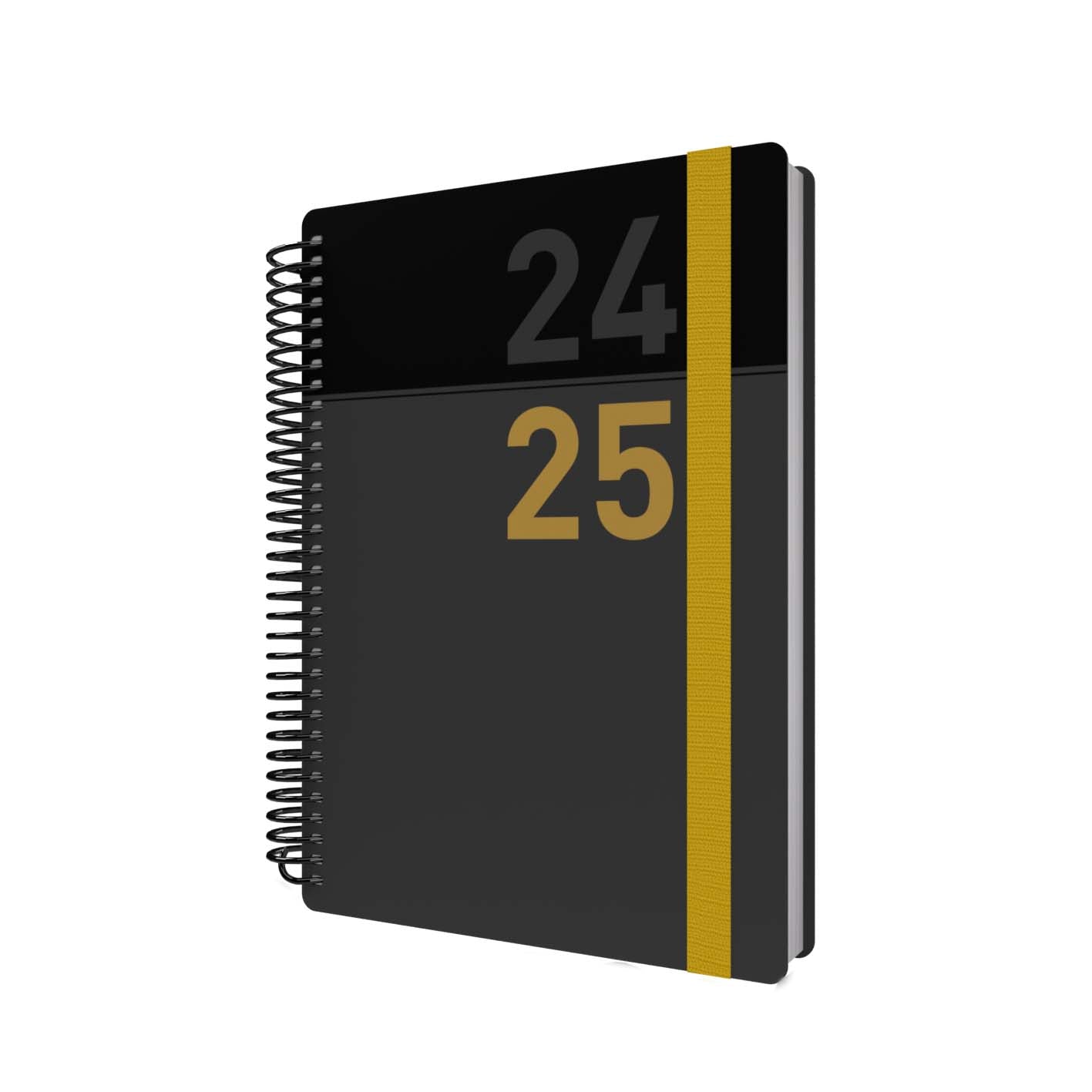 Delta - A5 Day-to-Page 2024-2025 Financial Year Diary/Planner