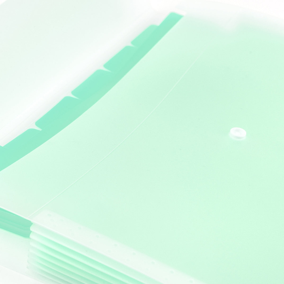 Snuggly A4 Stationery Folder - Sour Grape Teal