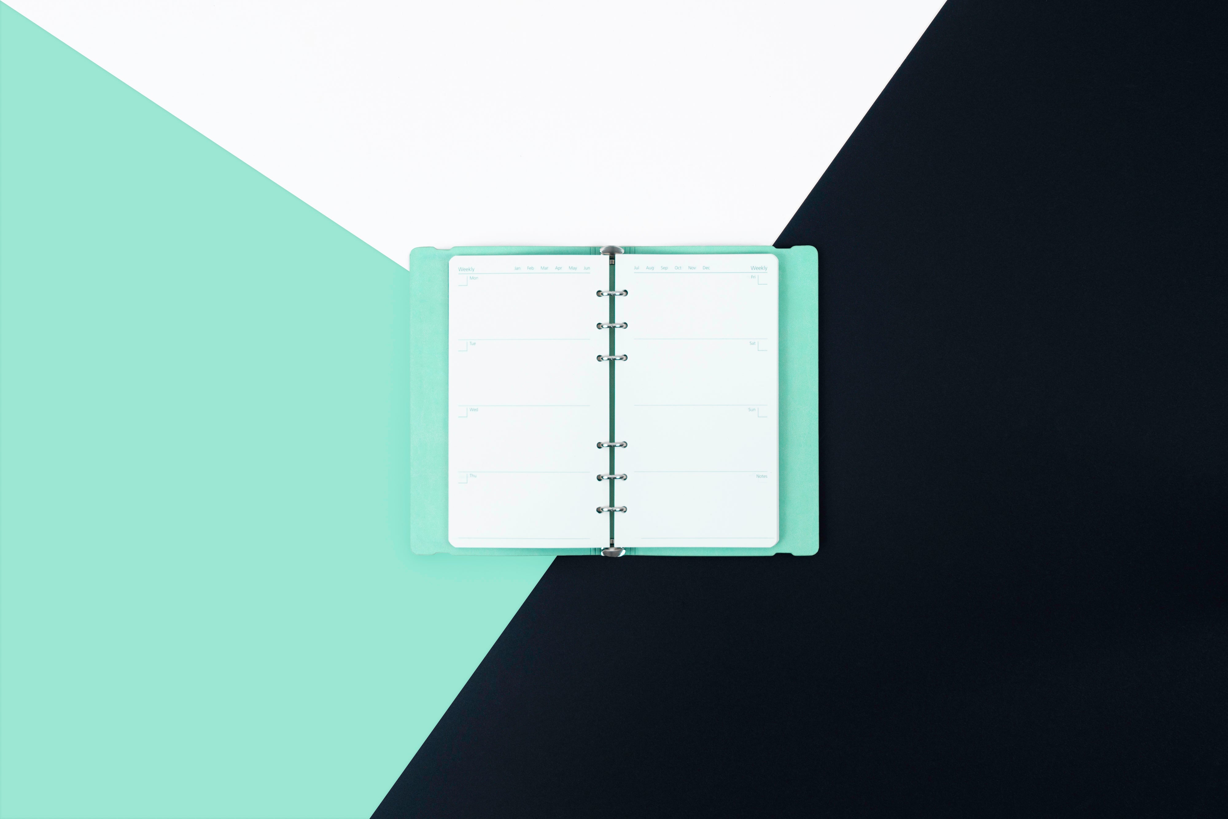 Lit Undated Week to View Organiser -Sour Grape Teal