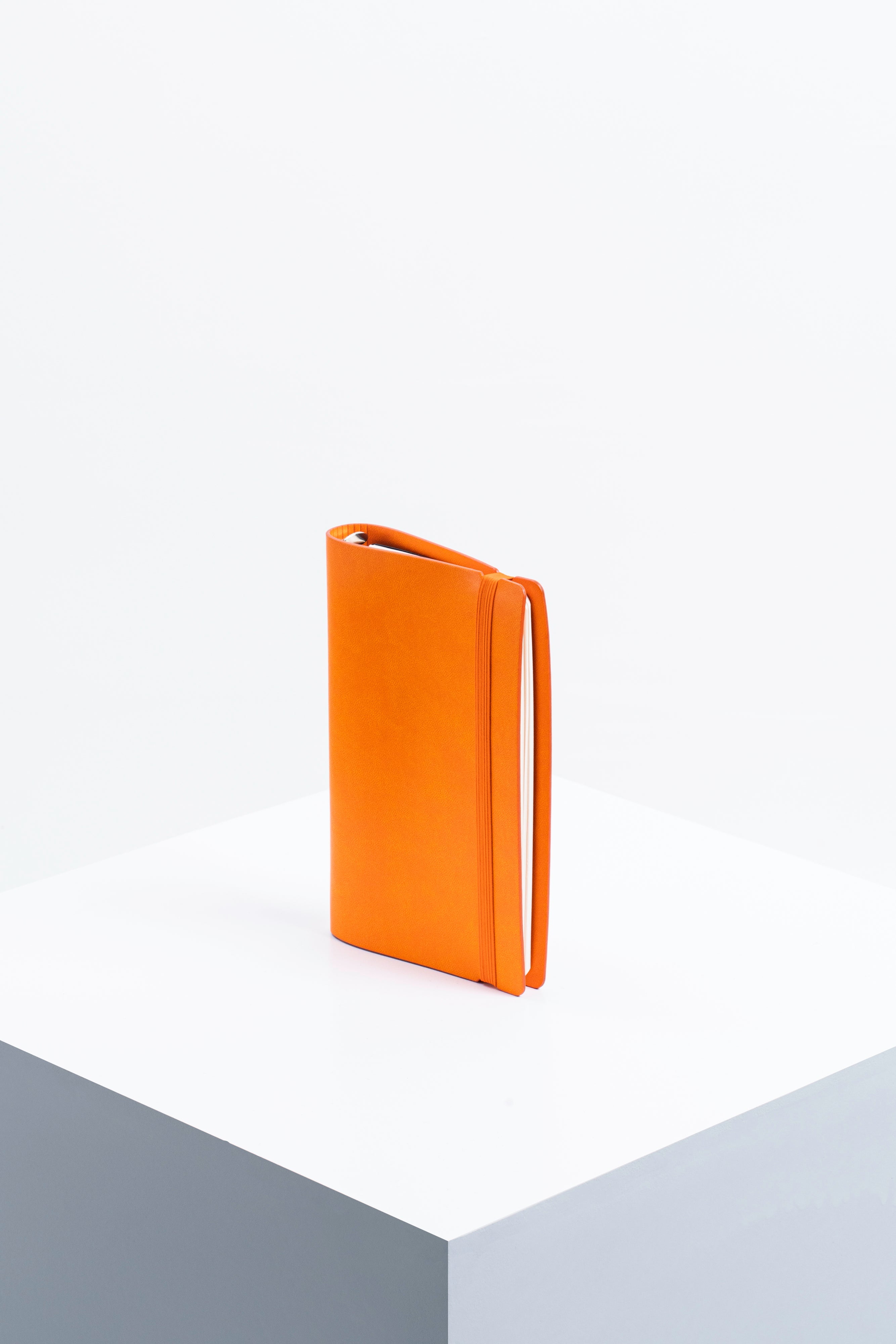 Lit Undated Week to View Organiser - Burned Out Orange
