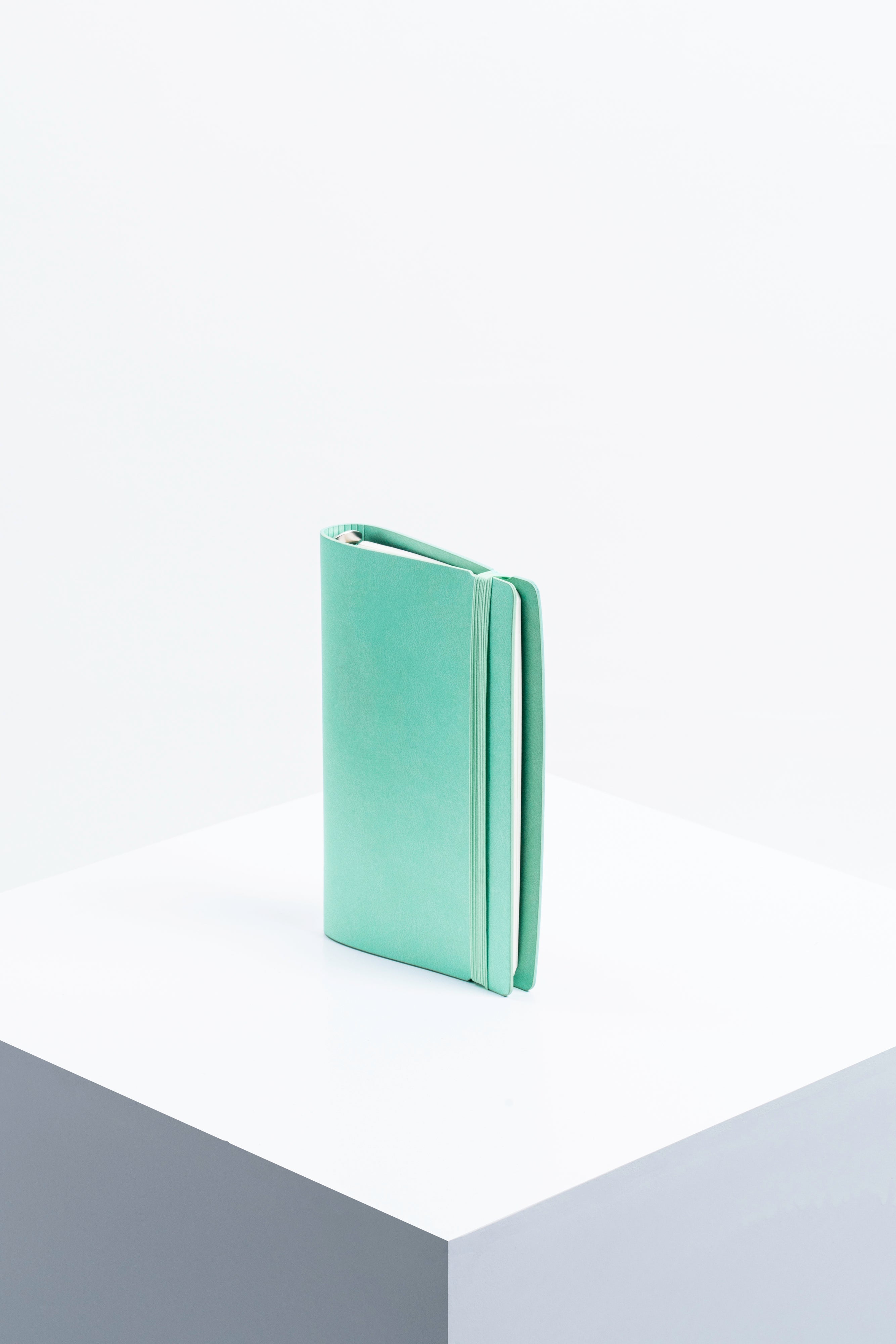 Lit Undated Week to View Organiser -Sour Grape Teal