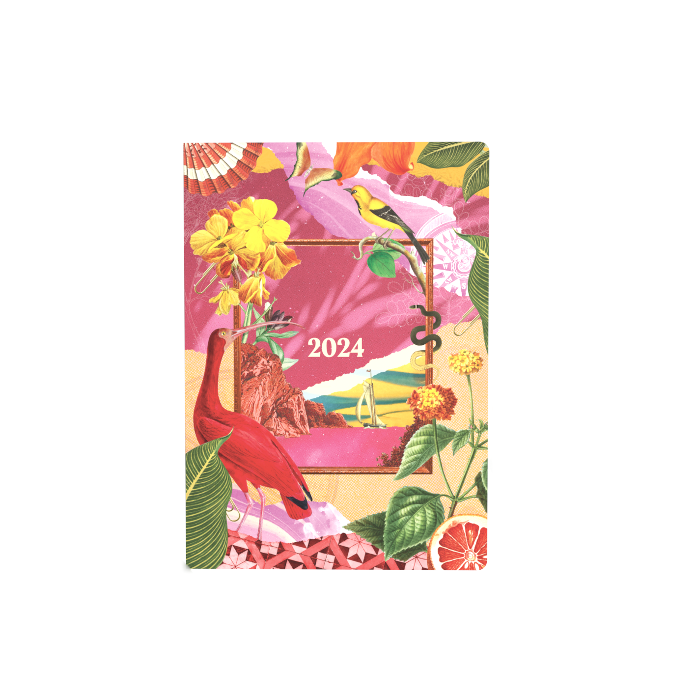 Collins Maximalism 2024 Diary, Business Planner and Organiser, A5 - Week To View
