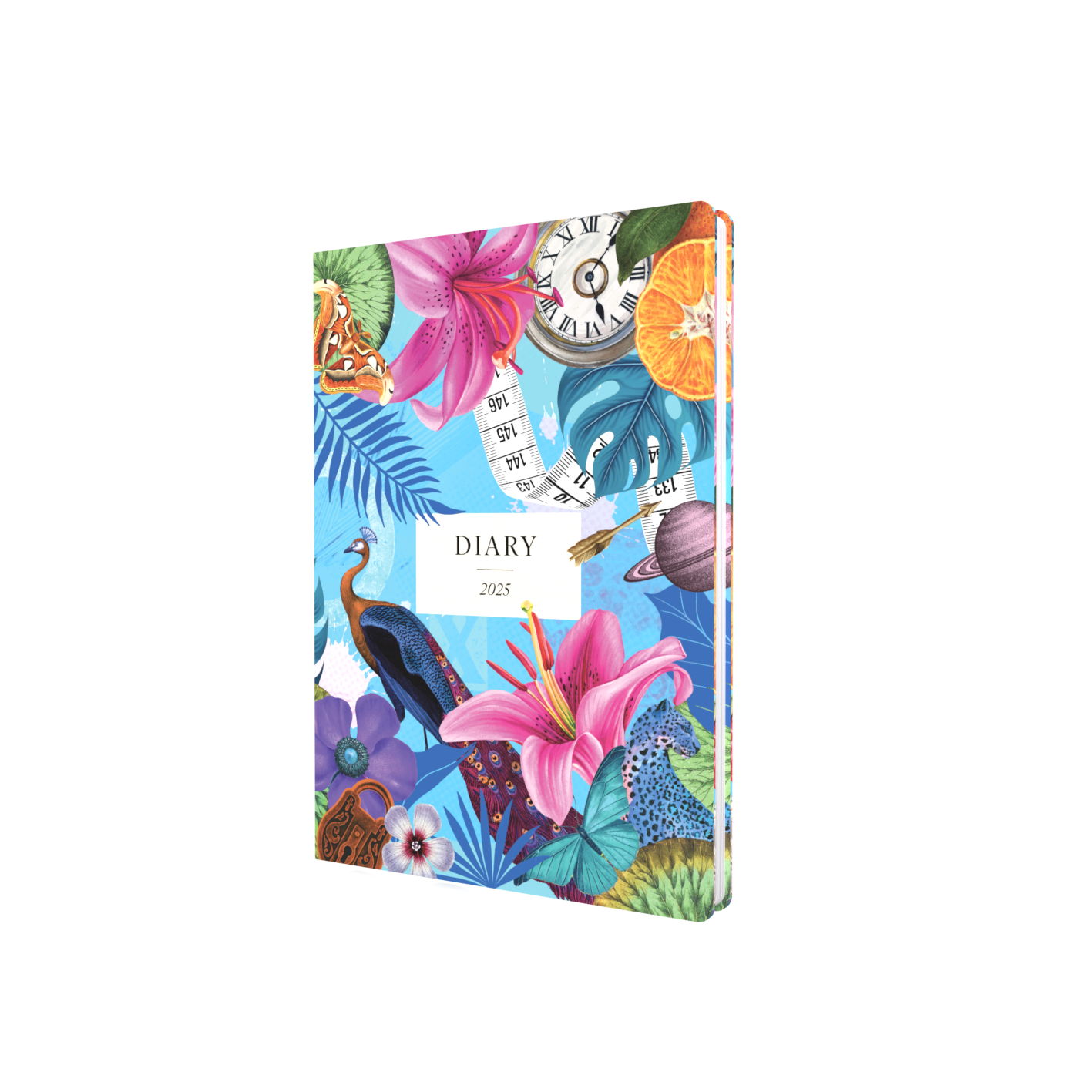 Collins Maximalism 2025 Diary Planner, Business Planner and Organiser, A5 - Week To View - Blue