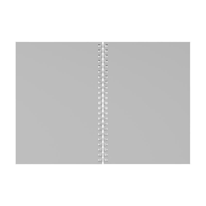 Collins School Essentials - Visual Art Diary, A4 - Blue