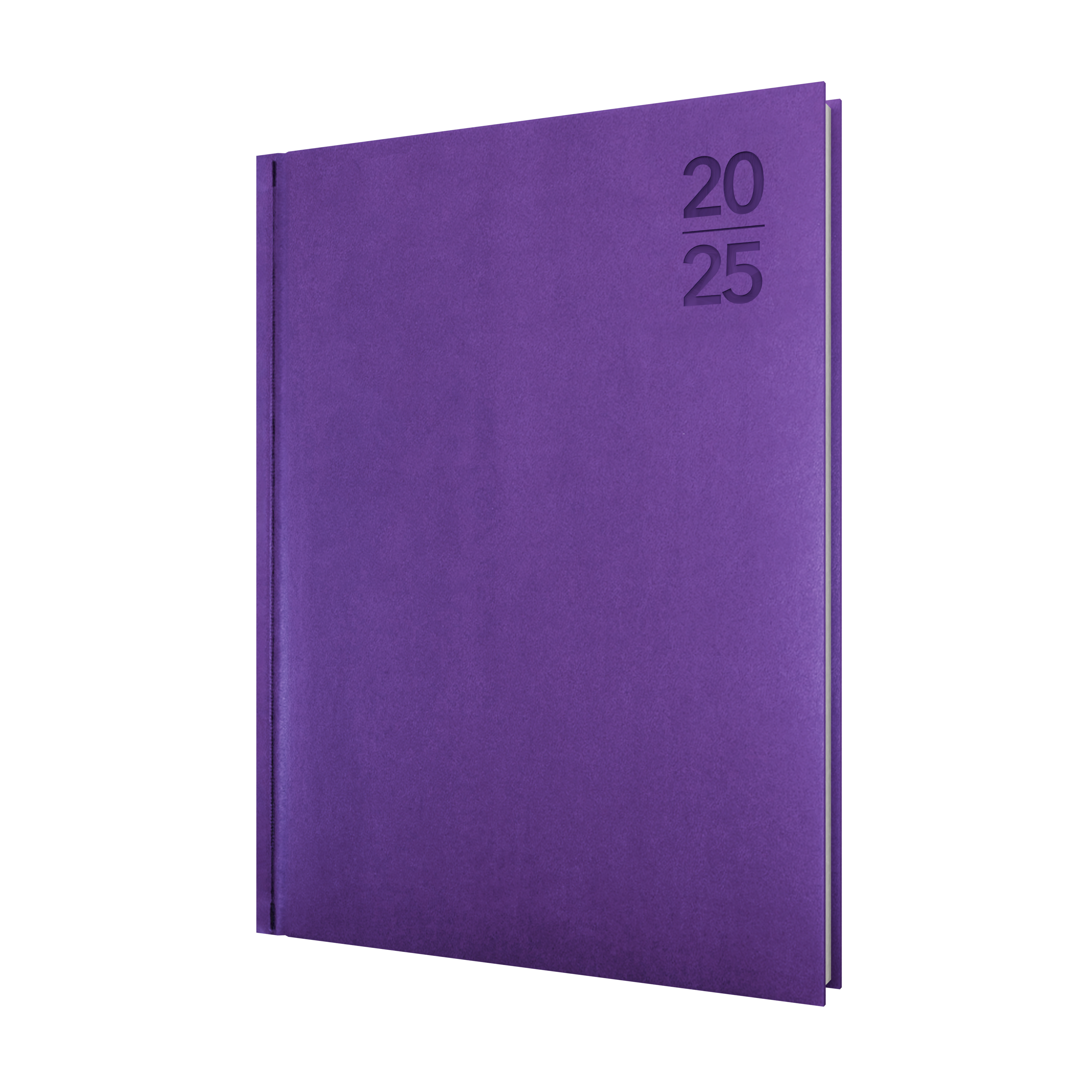 Silhouette -A4 - Day-to-Page - 2025 Calendar Year Diary/Planner