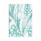 Collins Tara - A5 Ruled Notebook