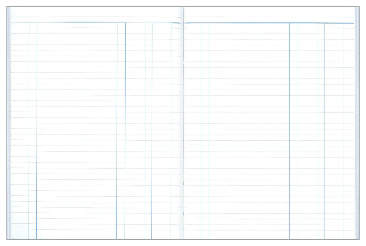 Account Book Series 'A24' Journal - Collins Debden