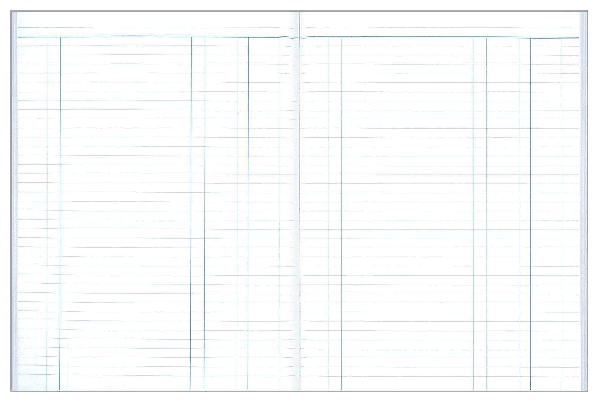 Collins Account Book Series A24 - Journal — Collins Debden