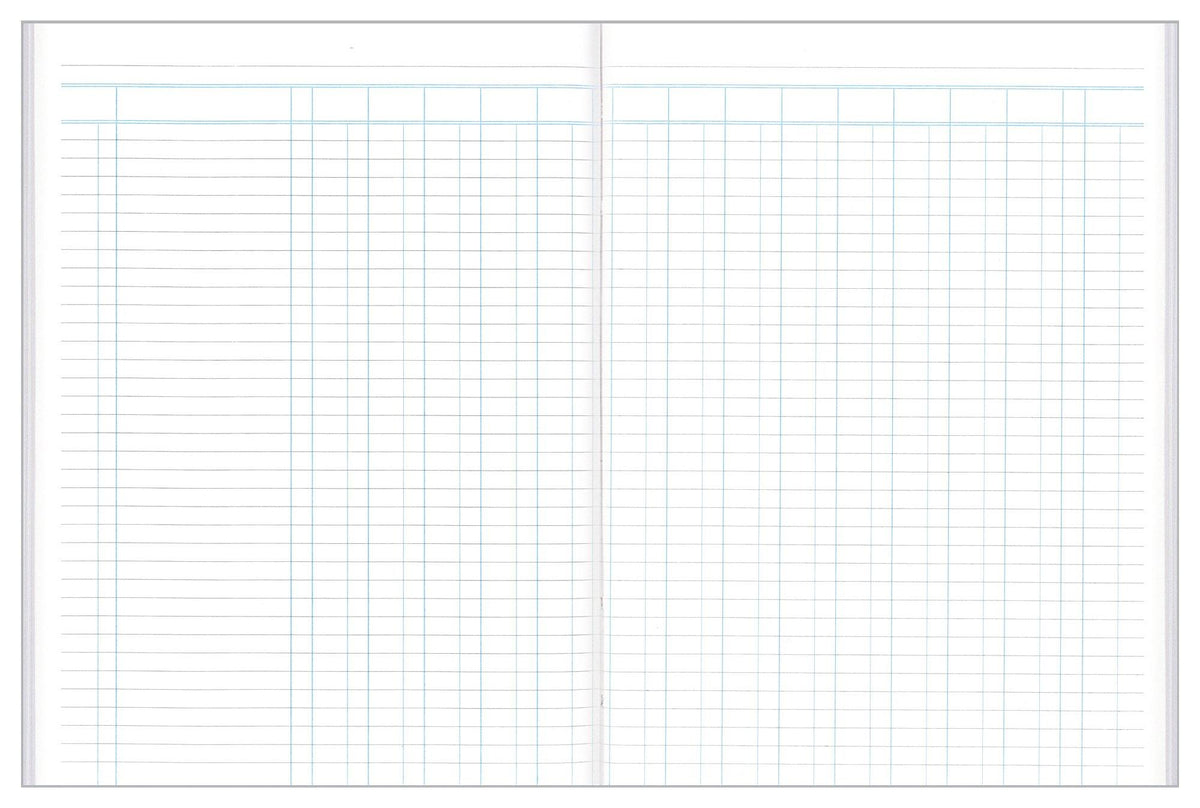 Analysis Book Series ''A24"14 Money Column - Collins Debden