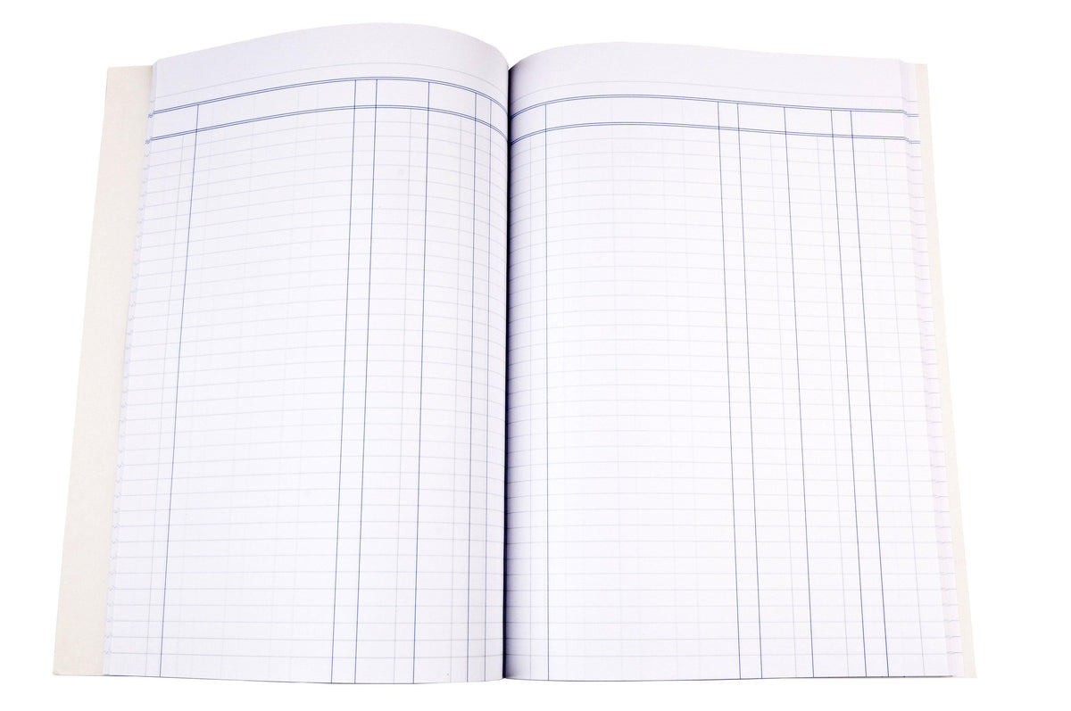 Account Book 'A60' Series 3 Money Column (Treble Cash) - Collins Debden