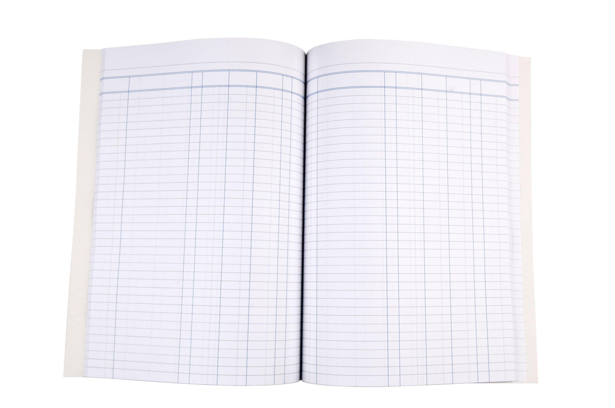 Account Book 'A60' Series 4 Money Column - Collins Debden