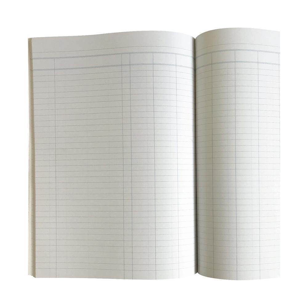 Analysis Book Series 'A60' 10 Money Column - Collins Debden