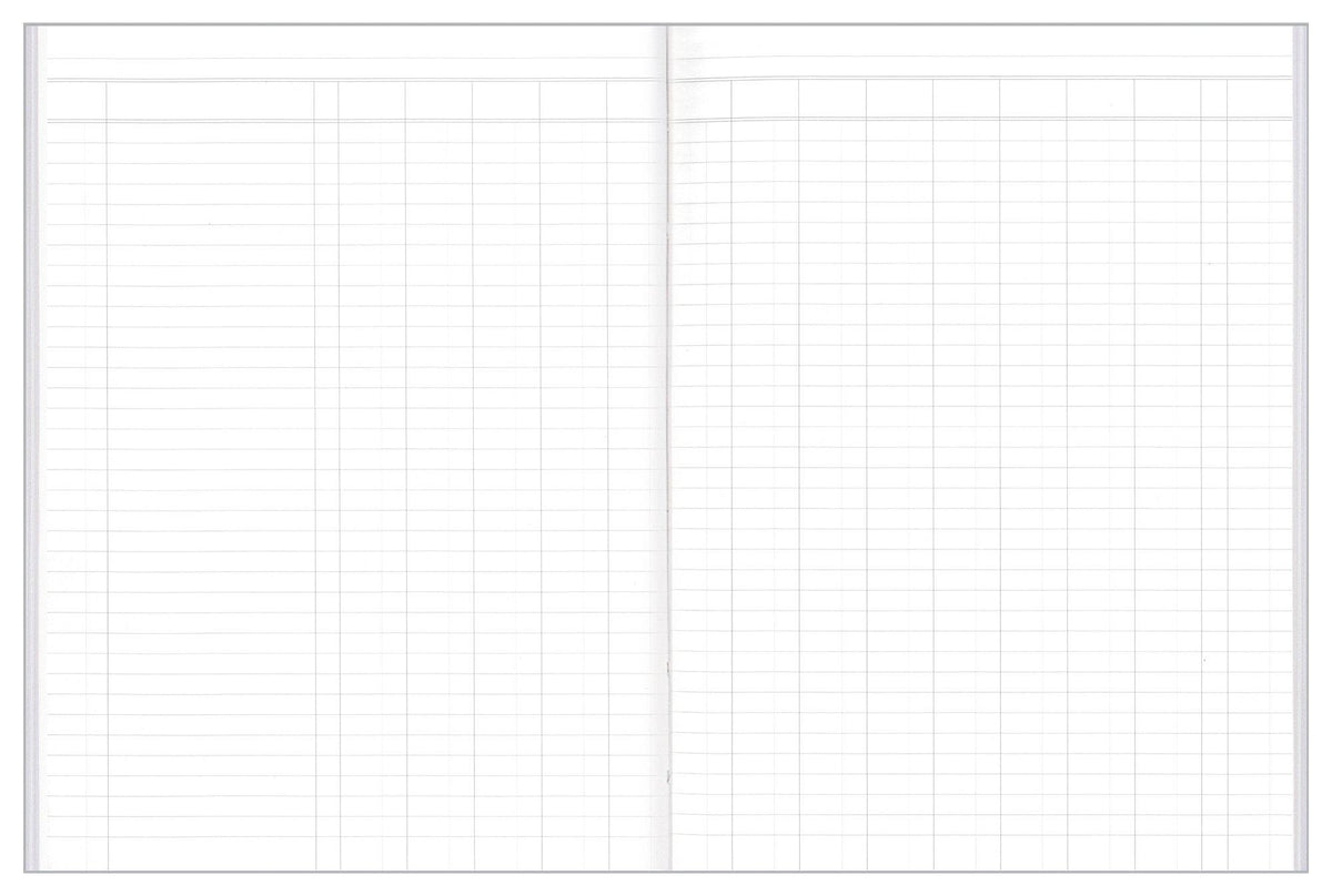 Analysis Book Series 'A60' 14 Money Column - Collins Debden