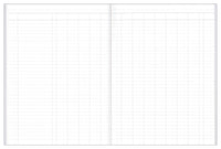 Analysis Book Series 'A60' 14 Money Column - Collins Debden