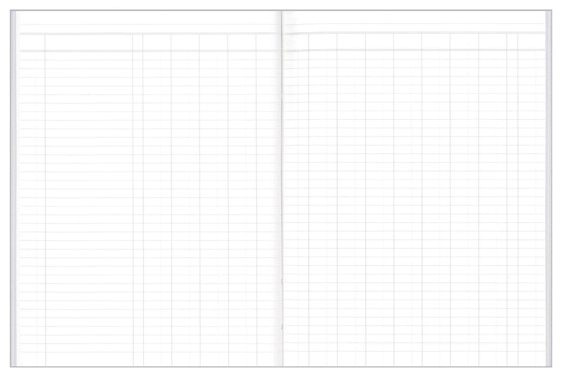 Analysis Book Series 'A60' 14 Money Column - Collins Debden