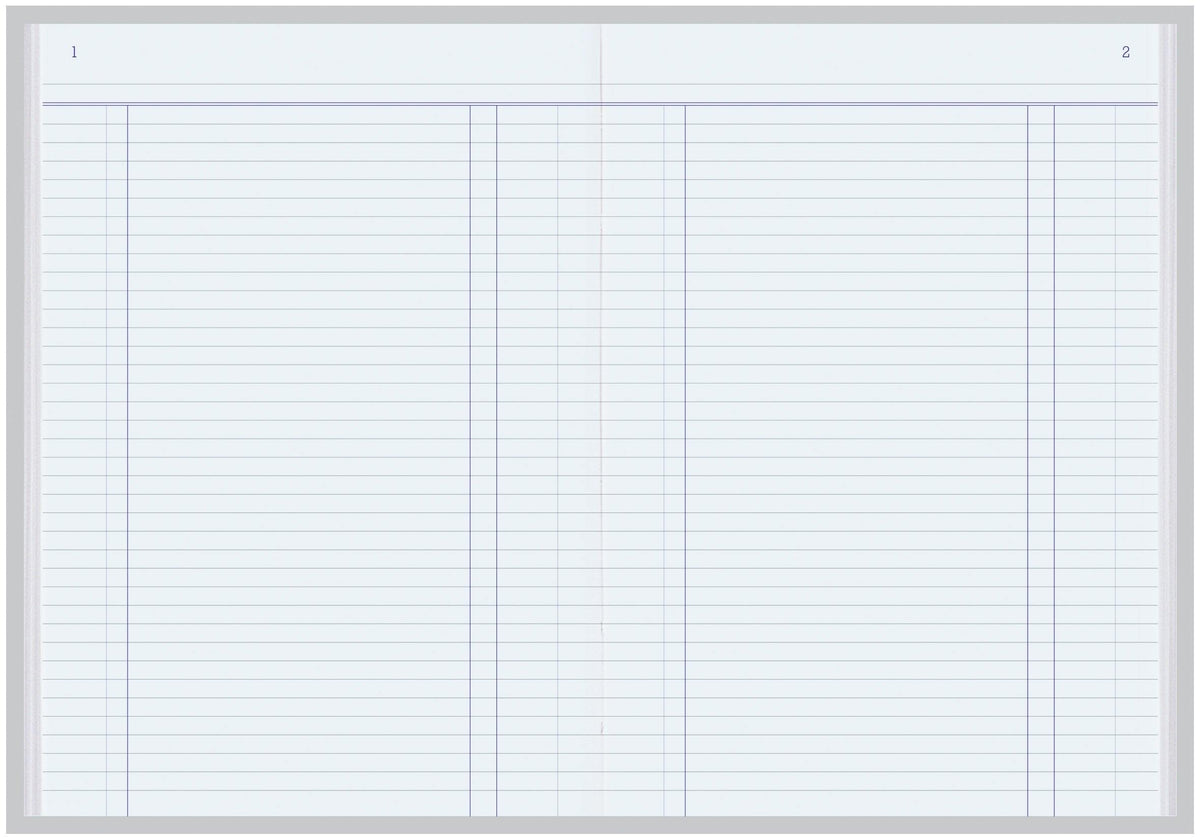 Account Book '3880' Series Day Book - Collins Debden