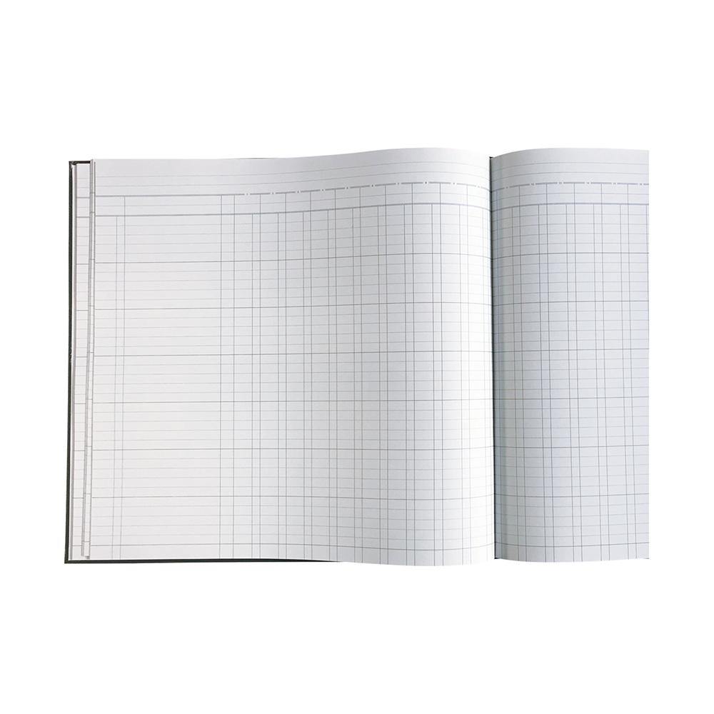 Analysis Book '700' Series 24 Money Column - Collins Debden