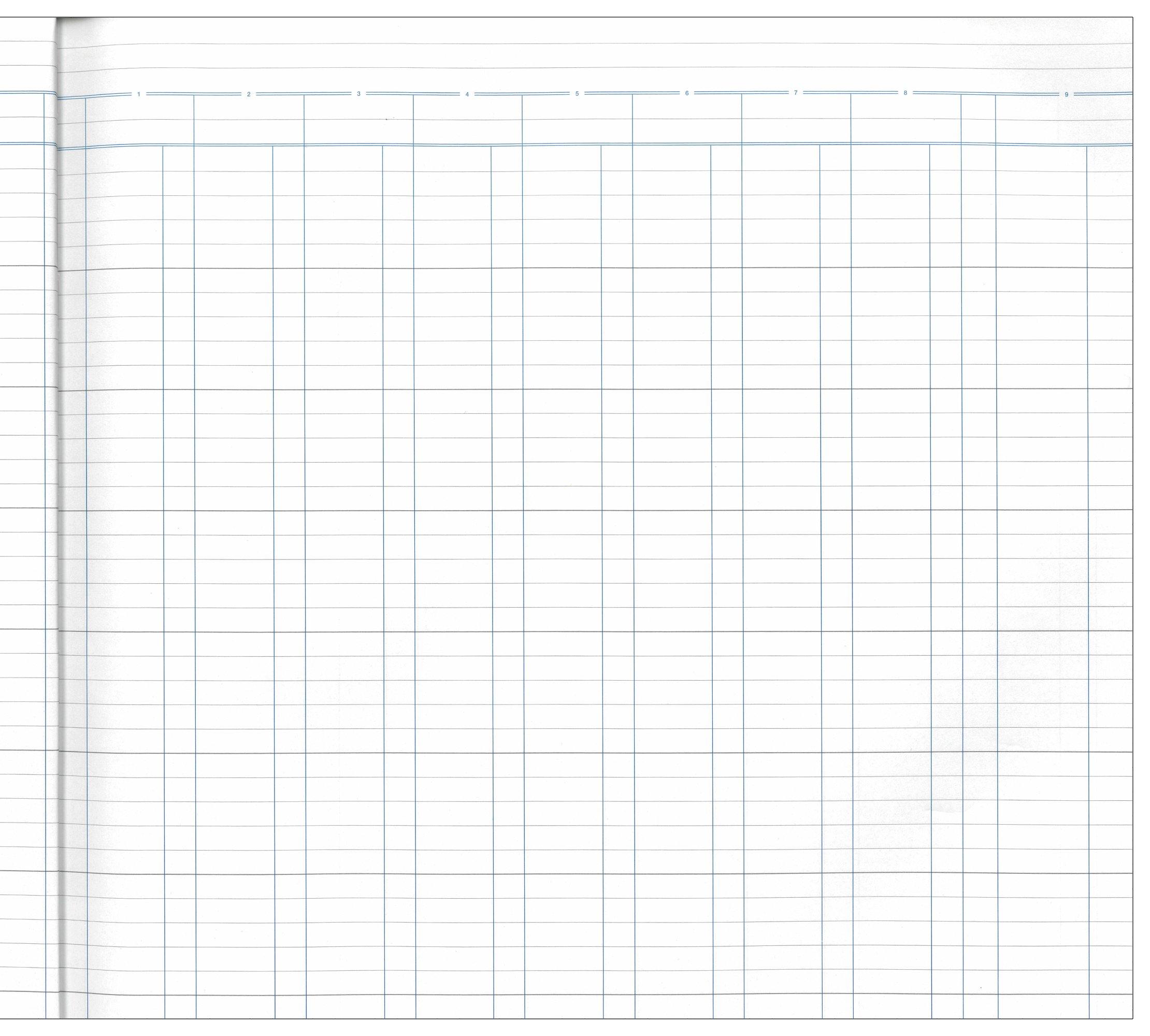 Analysis Book '700' Series Petty Cash - Collins Debden