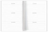 Any Year Diaries A5 - Collins Debden