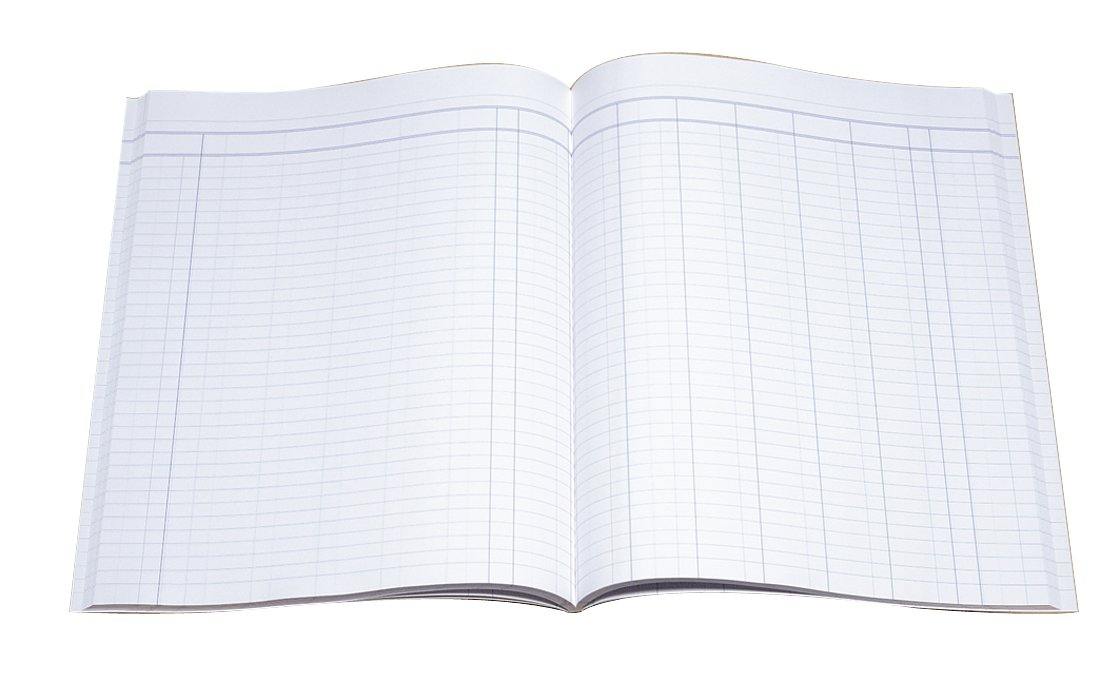 Analysis Book Series ''A24" 8 Money Column - Collins Debden