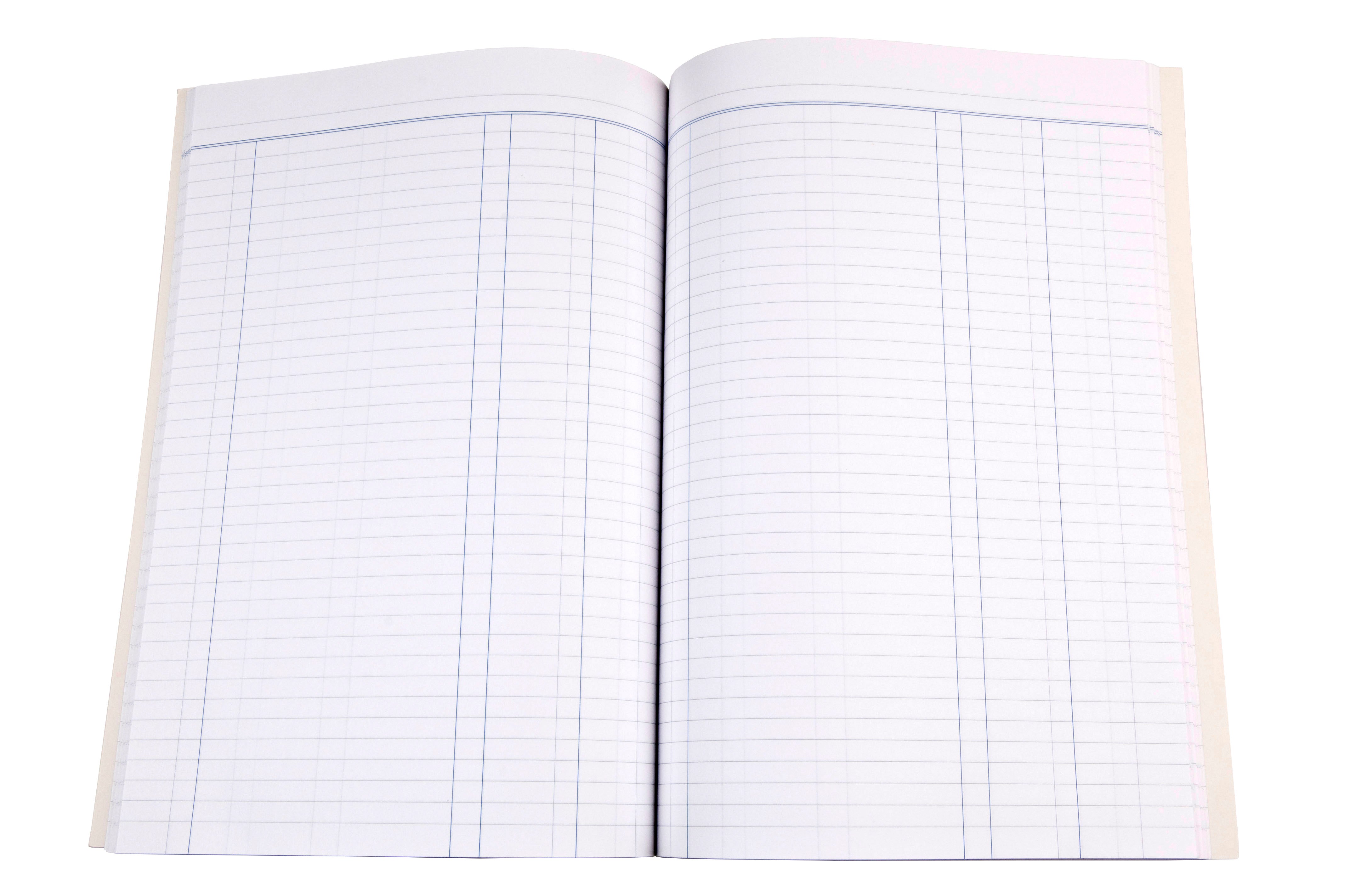 Collins Account Book A60 Series - Journal — Collins Debden