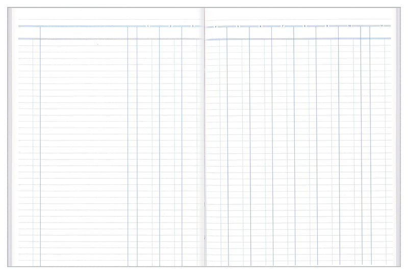 Analysis Book '61' Series 11 Money Column Default Title